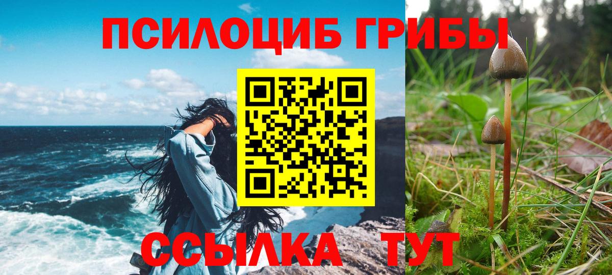 Псилоцибиновые грибы ЛСД Можайск