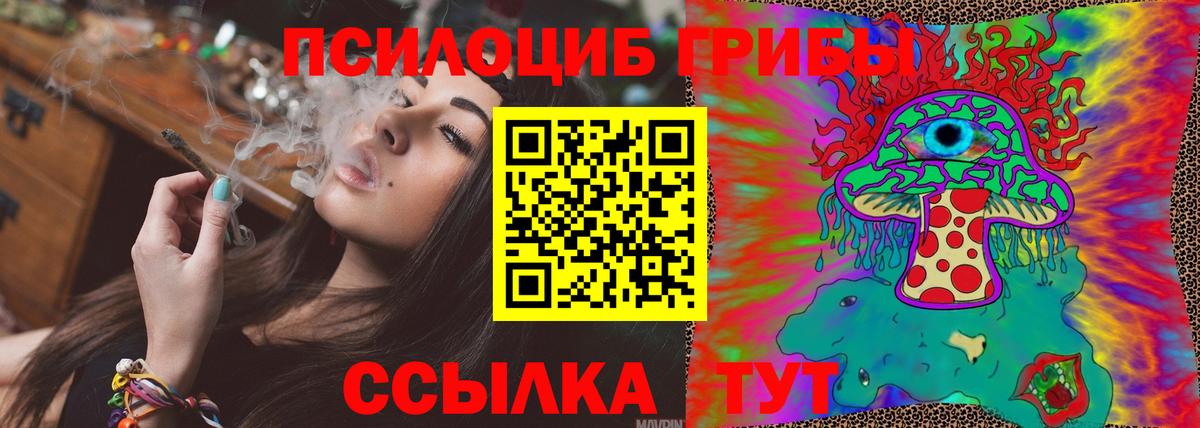 Можайск  Галлюциногенные грибы Psilocybine cubensis  Вход с VPN 